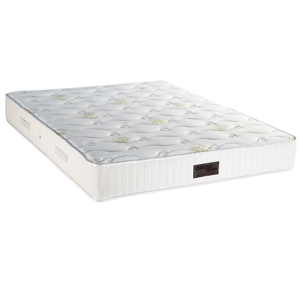 797 Filoxenia Aloe Vera Cotton Hr Coco Pocket 1