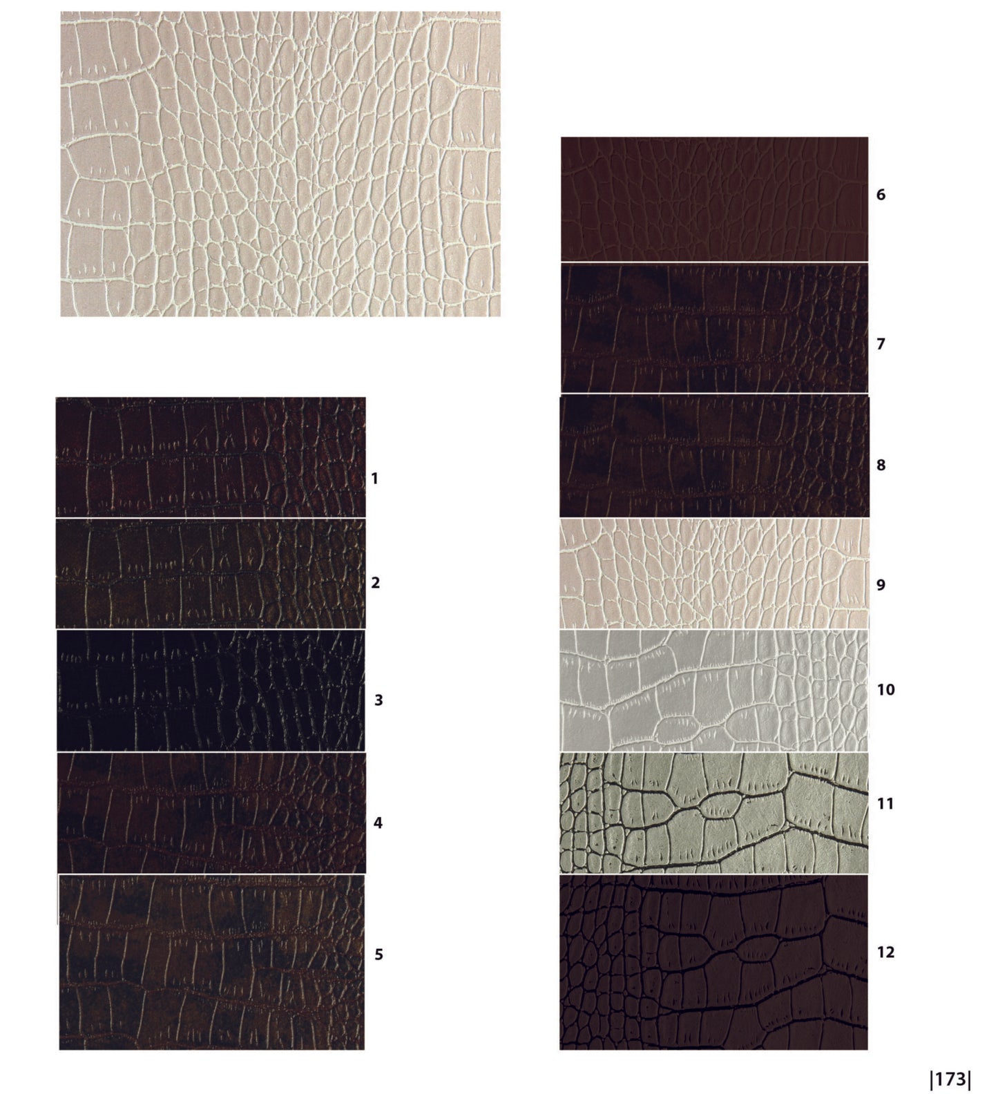 Catalog Nevada Scaled