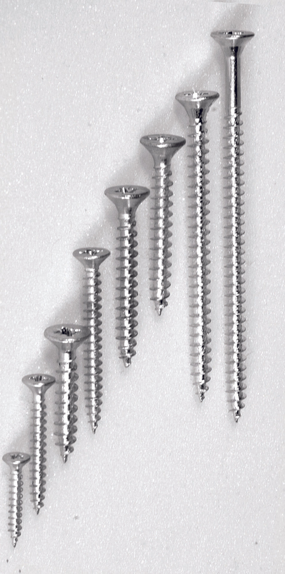 Novopanovides Scaled D97f61ff Be73 469d A63a 62337496ec05