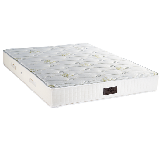 797 Filoxenia Aloe Vera Cotton Hr Coco Pocket 1