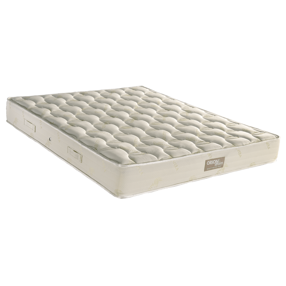 EN55 Aloevera Foam 250