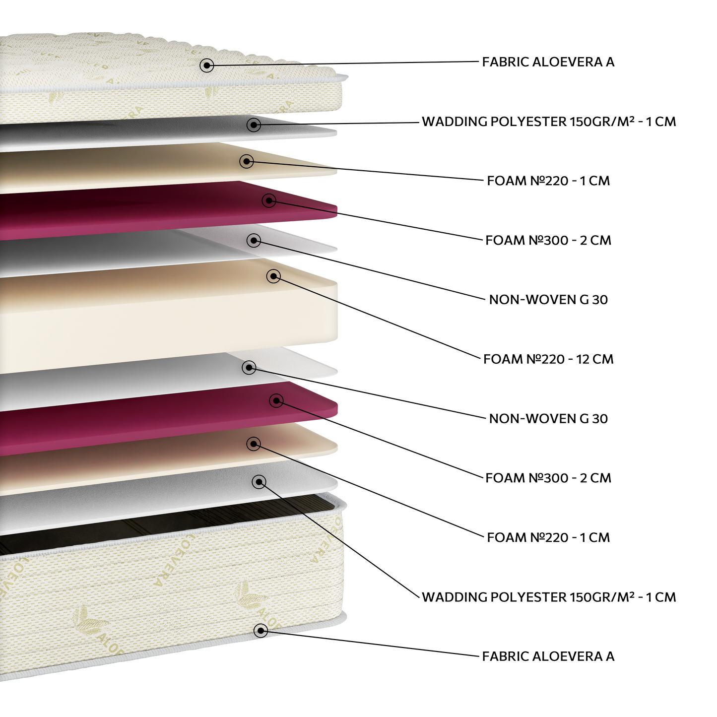 EN55 Aloevera Foam 250