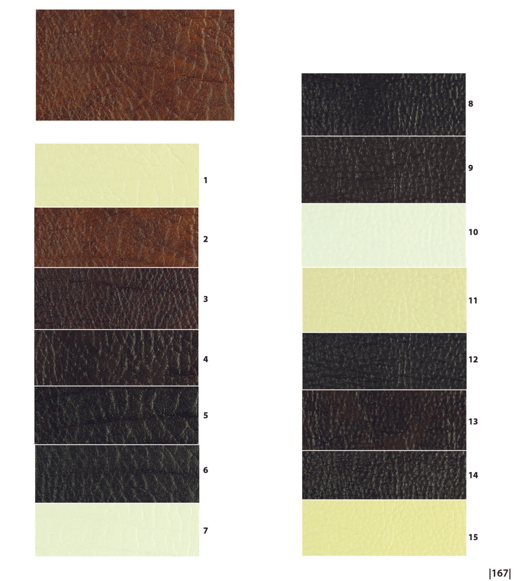 Catalog Orlando Scaled