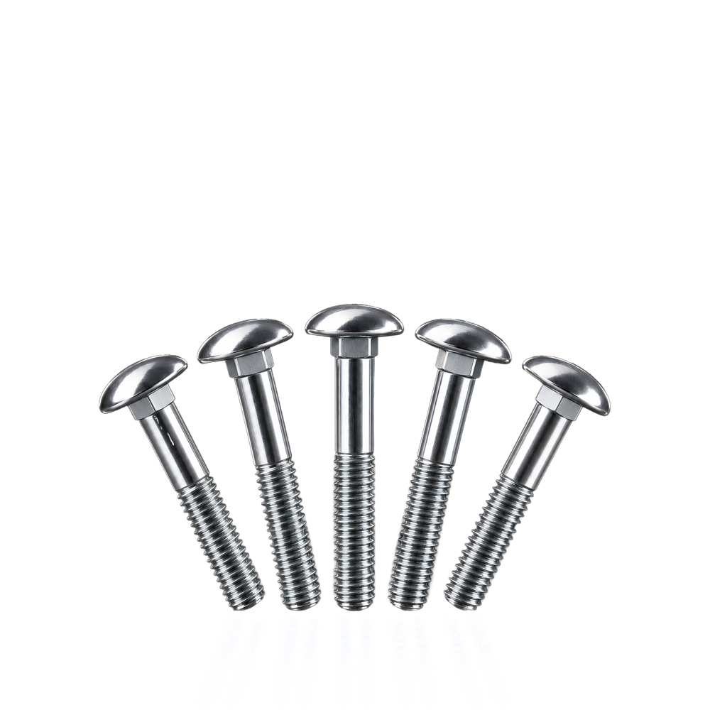 Carriage bolts (100 pcs)