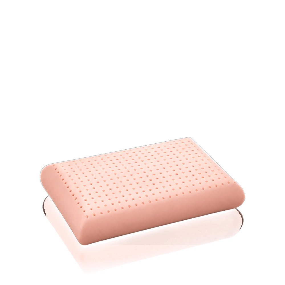 213 B Latex Memory Standard pillow