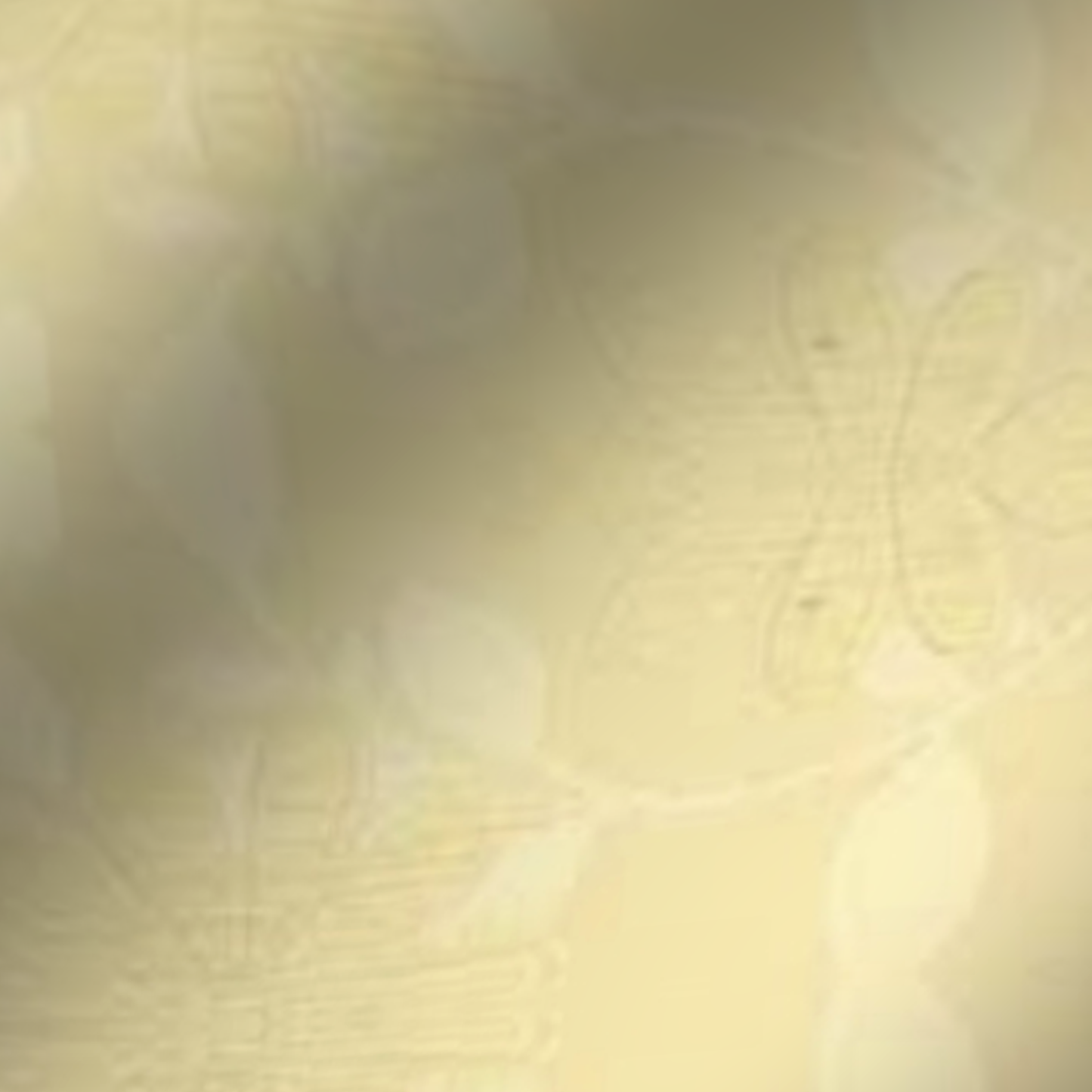 Ύφασμα MONACO-101 – δείγμα χρώματος και υφής